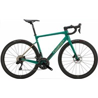 BIKE GARDA 105 12S MICHE REFLEX DX XS GREEN GOLD GLOSSY
