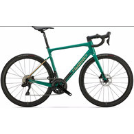 Rower Wilier Garda 105 12s S Miche Zielona