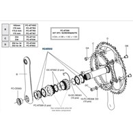 Campagnolo łożyska i uszczelki do korby PT ATHENA