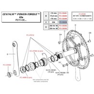 Campagnolo Koronka 39z CENTAUR