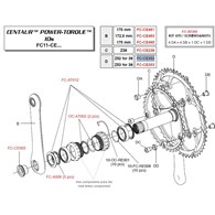 Campagnolo Koronka 52z CENTAUR