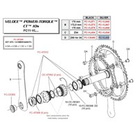 Campagnolo Koronka 50z VELOCE srebrna