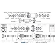 Campagnolo łożysko bębenka FH-BUU004 BOR/HYP/BUL/SHA/EUR/ZON/SCI/VEN/KHA/NEU