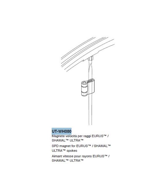 Campagnolo magnes do kół EURUS/SHAMAL